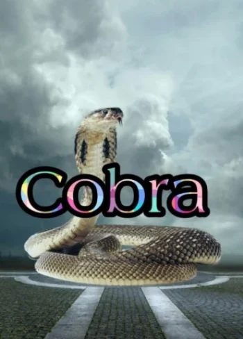 Cobra
