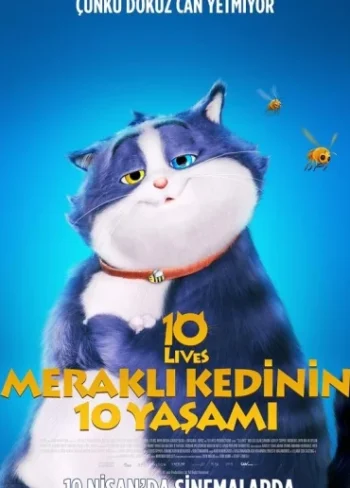 Meraklı Kedinin 10 Yaşamı