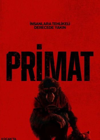 Primat